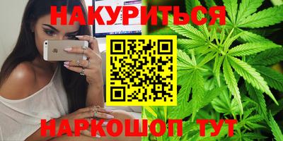 сатива Гатчина
