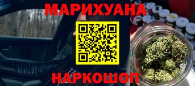 сатива Гатчина