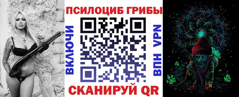 дарнет шоп  Красногорск  omg ONION  Галлюциногенные грибы Psilocybe 