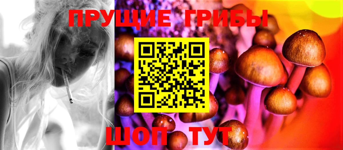 Псилоцибиновые грибы Magic Shrooms  что такое наркотик  Вход с VPN  Красногорск  Псилоцибиновые грибы прущие грибы 
