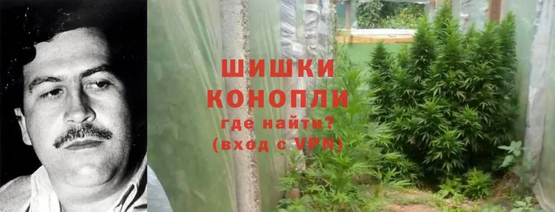 Каннабис White Widow  Красногорск 